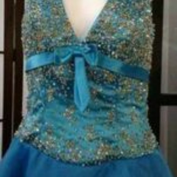 Tiffany Design Gown - Picture 2 of 8